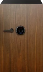Diplomat DBAUM Safe